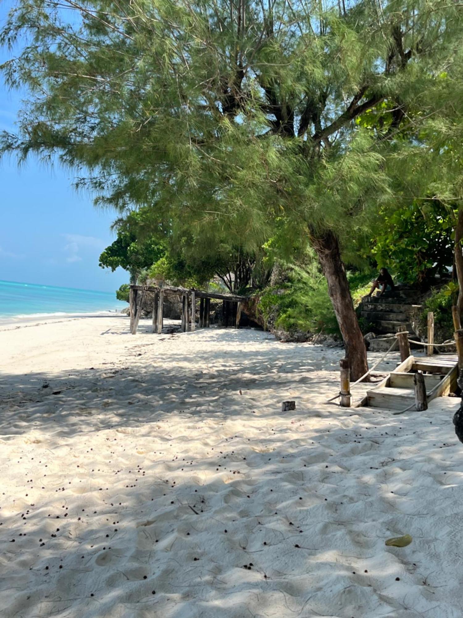 Sazani Beach Lodge And Tidal Lounge Nungwi Bagian luar foto