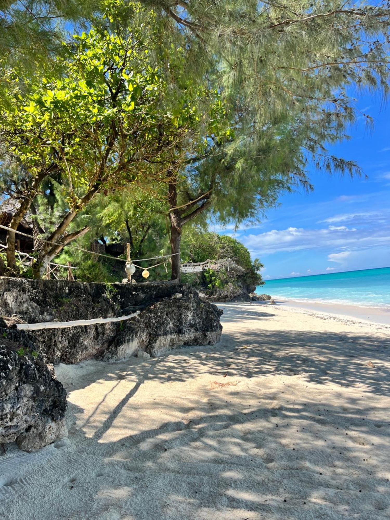 Sazani Beach Lodge And Tidal Lounge Nungwi Bagian luar foto