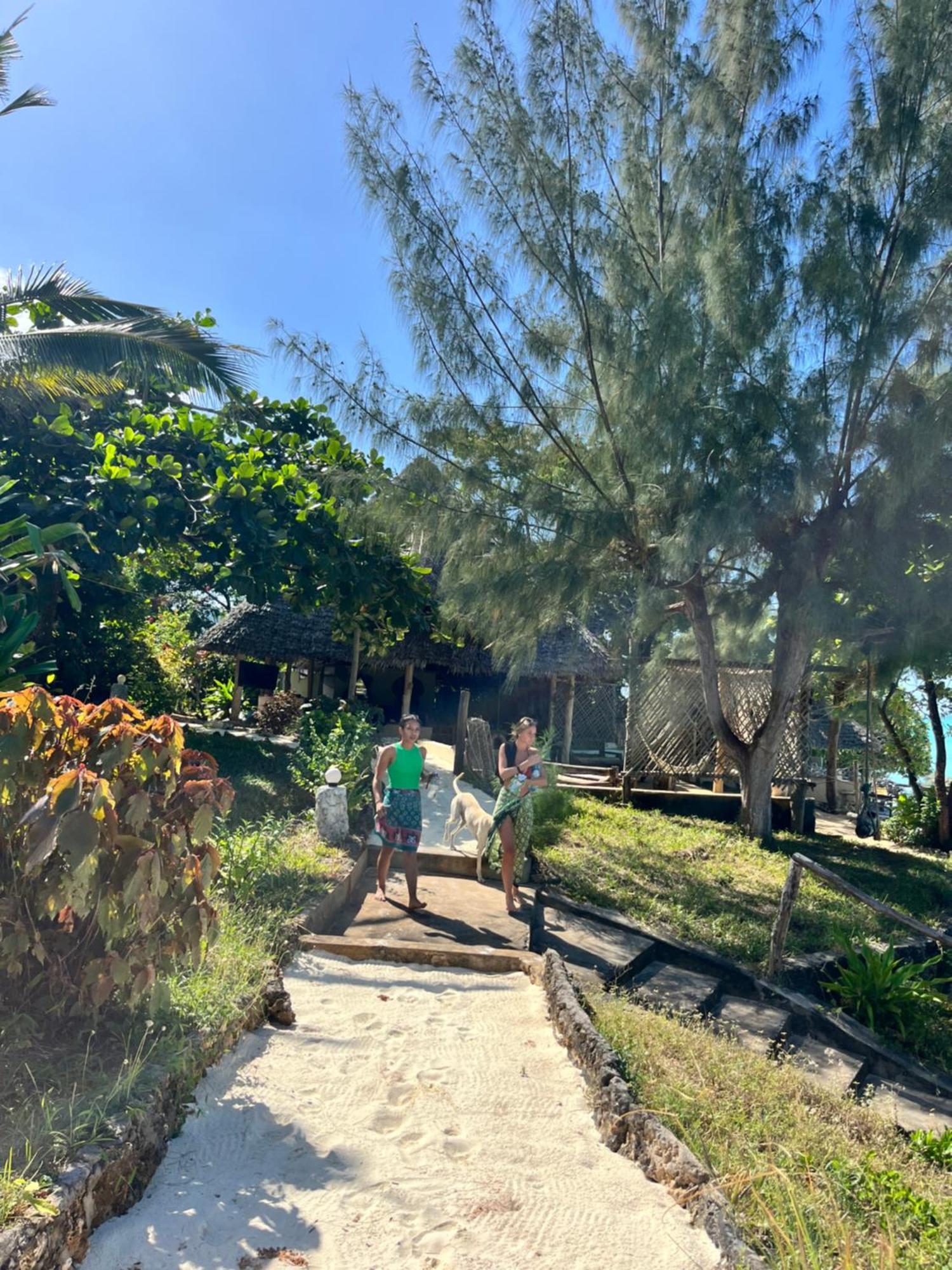 Sazani Beach Lodge And Tidal Lounge Nungwi Bagian luar foto