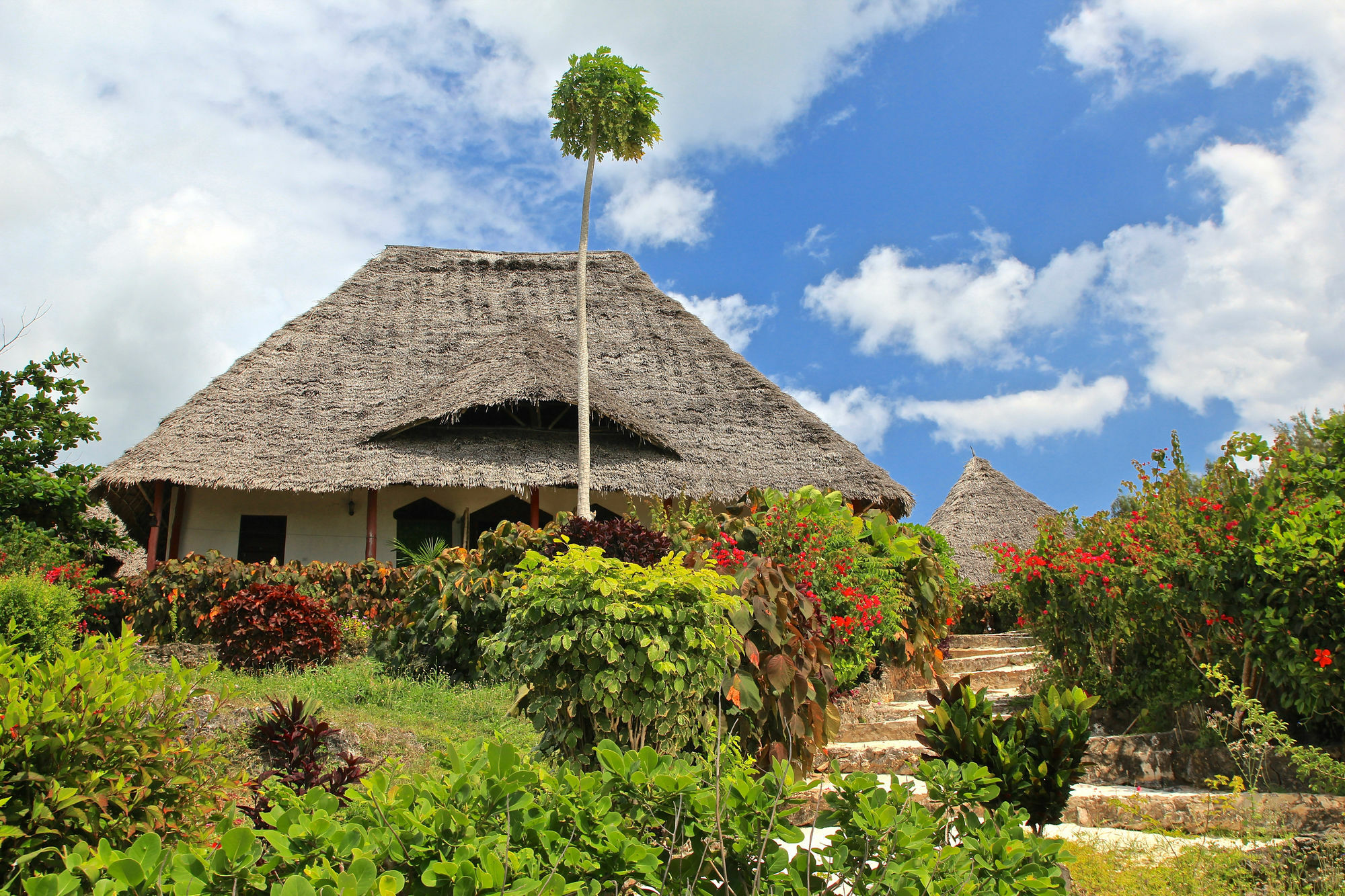 Sazani Beach Lodge And Tidal Lounge Nungwi Bagian luar foto